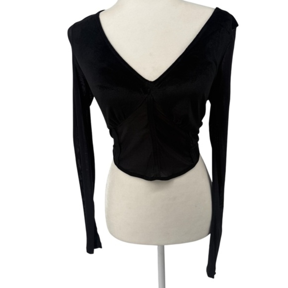 Semi Sheer Elegant Black Long Sleeve Top